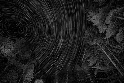 Full frame shot of tree against sky at night