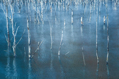 Full frame shot of frozen water