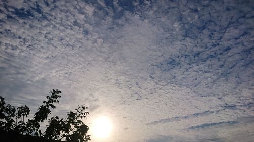 Low angle view of trees against sky