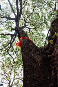 Low angle view of bird perching on tree