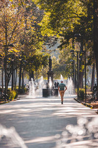 Rear view of woman walking on street