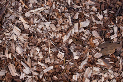 High angle view of dry leaves on wood