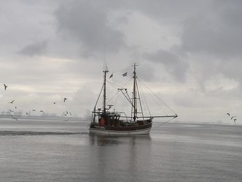 Ship moored at harbor against sky