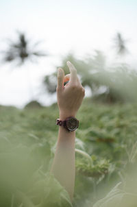 Close-up of woman hand on plant against sky