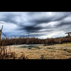 Scenic view of field against cloudy sky