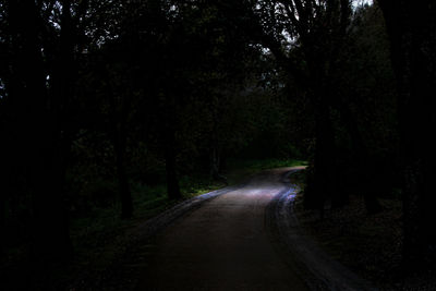 Road passing through forest