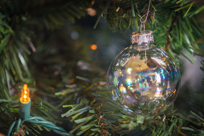 Illuminated christmas tree