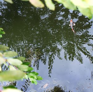 Close-up of water drops on tree