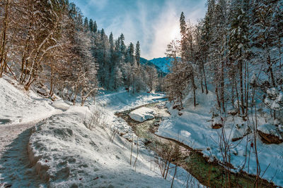 Partnach, a bavarian mountain river in a winter landscape, germany.
