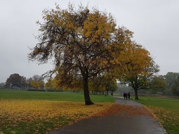 Trees on field against sky during autumn