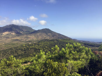 Scenic view of landscape against sky