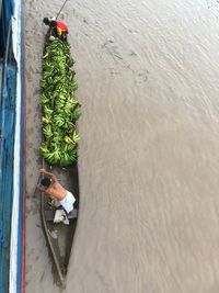 Directly above shot of man rowing canoe full on bananas on river