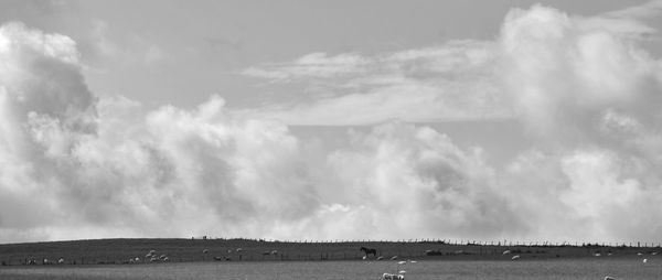 Panoramic view of birds over landscape against sky