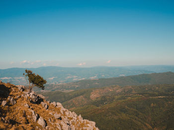 Scenic view of landscape against clear sky