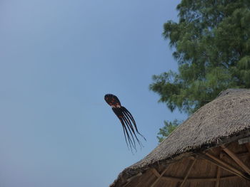 Low angle view of bird flying against sky