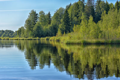 Scenic view of lake in forest against sky