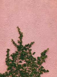 High angle view of wall