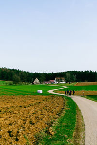 Scenic view of field against clear sky