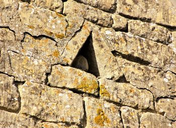 Full frame shot of stone wall