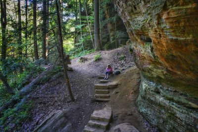 Rear view of woman walking in forest