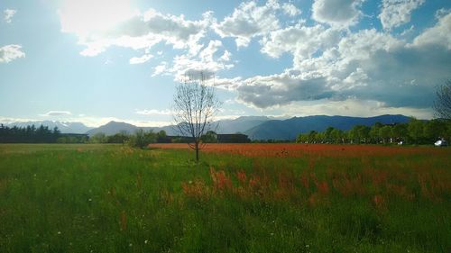 Scenic view of field against cloudy sky