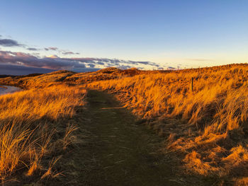 Scenic view of landscape against sky