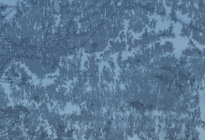 Full frame shot of snowflakes on plants