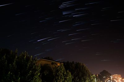 Low angle view of trees against sky at night