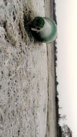 Close-up of beach against sky