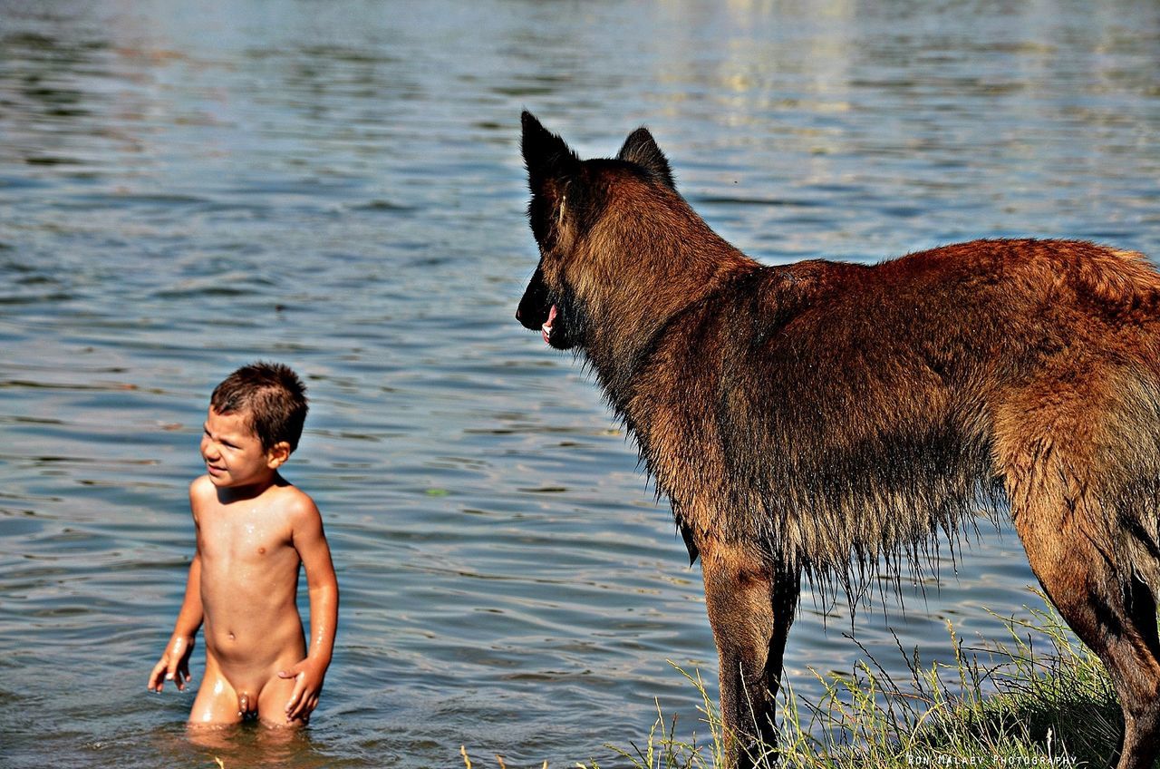 water, animal themes, mammal, domestic animals, togetherness, lake, one animal, bonding, lifestyles, leisure activity, love, pets, two animals, nature, young adult, three quarter length, standing, person