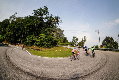 People riding motorcycle on road