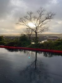 Bare tree by lake against sky during sunset