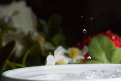 Close-up of water drops on glass