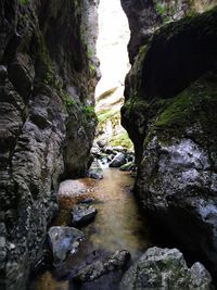 Rock formation amidst river in forest