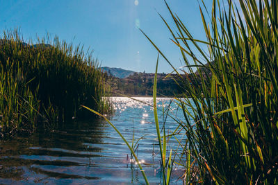 Scenic view of lake against sky