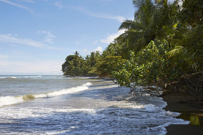 Landscape of tropical beach in corcovado national park, costa rica