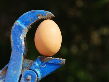 Waterpump pliers with egg 