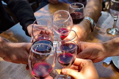 Closeup of people having toast with red wine