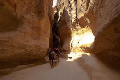 Horse riding in petra