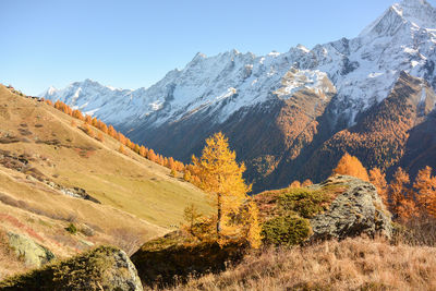 Scenic view of snowcapped mountains against clear sky