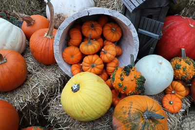 A view of multiple sixed pumpkins on straw bales