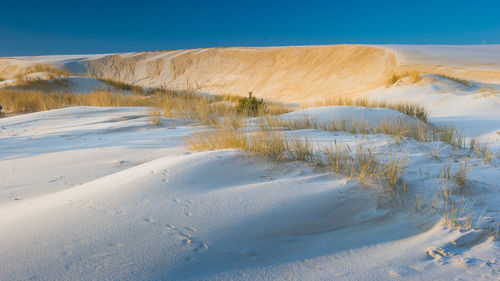 Scenic view of desert against clear blue sky