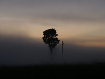 Silhouette tree on field against sky during sunset