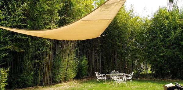 Chairs and table by trees in forest