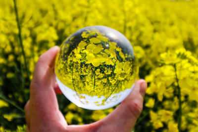 Cropped hand of woman holding globe