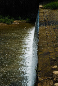 High angle view of waterfall in forest