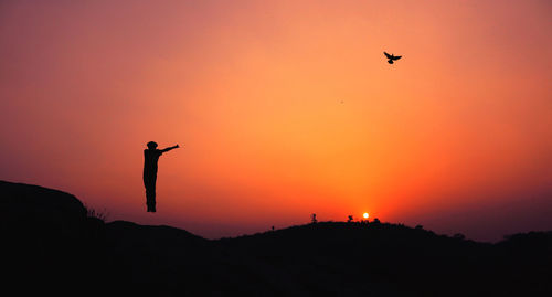 Silhouette of bird flying in sky