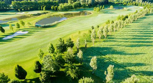 High angle view of golf course