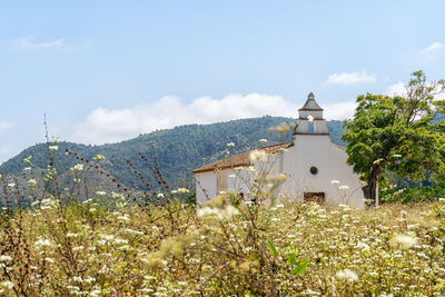 Small white chapel on a sunny day among flowers.