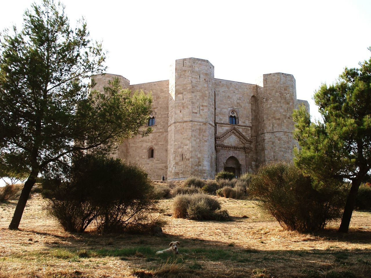 Del monte castle